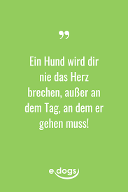 Sprüche hund mensch beziehung language:de. Hundeliebe Hundemensch Hundespruche Hundeliebe Hund Zitat