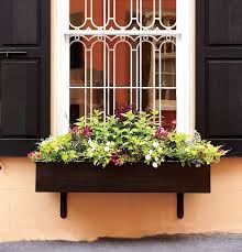 Balkonkasten Bepflanzen Ideen Und Beispiele Fur Sonnige Und Schattige Standorte Beste Trend Mode Balkonkasten Bepflanzen Balkon Pflanzen Balkonkasten