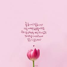 하나님의 복음을 전하는 씨앗 햇살콩 로마서 8장 39절 말씀 높음이나 깊음이나 다른 어떤 피조물이라 현명 인용구 성경 구절 로마서