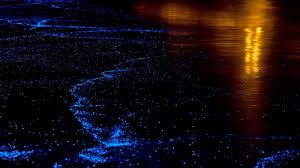 Maldives beach maldives honeymoon maldives travel maldives sea of stars the maldives jamaica vacation natural phenomena amazing trick of nature turns maldives beach into glowing sea of stars. Sea Of Stars Wallpapers Wallpaper Cave