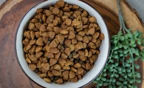 Find the best food for your dog. Review Of Blue Buffalo Life Protection Formula Adult Chicken Brown Rice