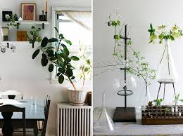 As well, they help to purify indoor air through their natural photosynthesis processes. 20 Unforgettable Indoor Plant Displays Ideas