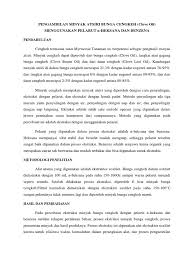 Vegetasi pembentuk gambut di eropa berbeda. Pengambilan Minyak Atsiri Bunga Cengkeh Pdf