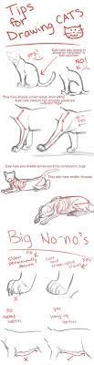 Draw eyes, nose and cat's mouth, using the outline drawn in the previous step. 47 New Ideas For Drawing Cat Human