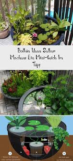 Balkon Ideen Selber Machen Ein Mini Teich Im Topf Pin Boss Miniteich Teich Balkon Ideen