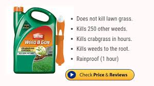 Maybe you would like to learn more about one of these? 10 Best Crabgrass Killers Preventers That Work 2021 Reviews Cg Lawn