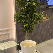 Maybe you would like to learn more about one of these? Photos At Viola Beauty Salon 181 Visitors