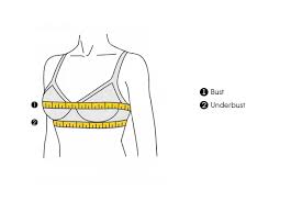 Size Chart For Bra Power Day Sale Subtract your band size from your bust measurement to find your cup size. size chart for bra power day sale