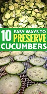 Maybe you would like to learn more about one of these? 10 Delicious Ways To Preserve Cucumbers For Gardeners