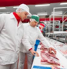 We did not find results for: Sokolow Bauernkrakauer 550g Waldfurter Polnische Lebensmittel Schlesische Spezialitaten