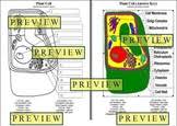 We did not find results for: Plant Cell Color Worksheets Teaching Resources Tpt