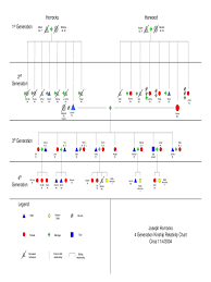 Kinship Diagram Template 1 Free Templates In Pdf Word