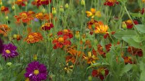 Check spelling or type a new query. Nine Things To Do In The Garden In April