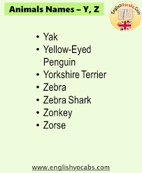 Including comments and the meaning of the name. Animals Name Starting With Y Z English Vocabs