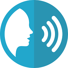 Voice To Text