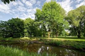 Rieger Park Gutersloh Parks Grun Park