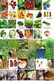 Image result for AIm Global Products