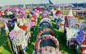 The World S Biggest Flower Garden Sits In The Middle Of A Desert Miracle Garden Dubai Garden Flower Garden