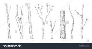 10,820 Bough Sketch Images, Stock Photos & Vectors | Shutterstock