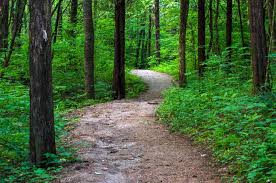 cedar sink trail, mcnp shutterbug