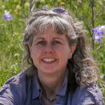 The Road to Columbine Heaven