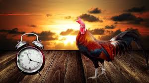 Daylight savings ends at 2am on sunday, november 1. Time Change 2020 Daylight Saving Time Ends Winter Time Starts Redblueguide Com