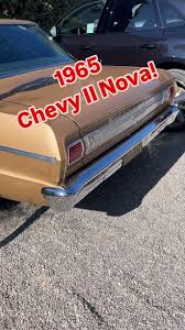 Image result for Sierra Tan 1965 Nova