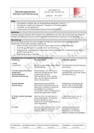 Der letzte schluck bier brennt sich durch eure eingeweide. Https Wundnetz Kiel De Dateien Standards Wz Bs 005 V03 Wunden Nach Verbrennung Pdf