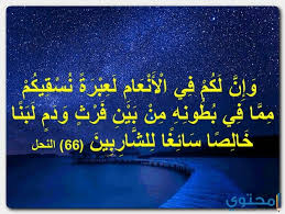 آيات الحيوانات في القرآن الكريم موقع محتوى