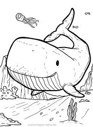 Buku mewarnai gambar alat transportasi. Gambar Ikan Hitam Putih Keren Ini Untuk Diwarnai Gambar