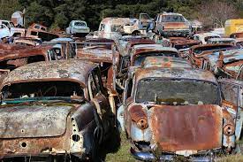 crash palace lichen and moss encrusted car vehicles horopito abandoned in new zealand car abandoned abandoned cars