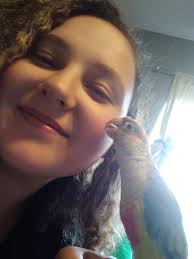 Introduction and photo of pet mango