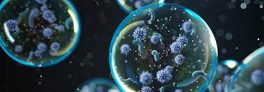 Detect and remove viruses, worms, malware, spyware, and other malicious threats for free. Luchtbevochtiging Tegen Verspreiding Van Virussen En Bacterien