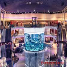 The only mall worth visiting in casablanca. Fotozino Celine Fanchini Aquarium Morocco Mall Casablanca Maroc