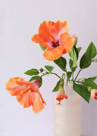 140 pcs dried pressed flowers for resin, real pressed flowers dry leaves bulk natural herbs kit for scrapbooking diy art crafts, epoxy resin jewelry molds, candle, soap making, nails décor 4.8 out of 5 stars 736 Orange Coral Hibiscus Spray Destination Wedding Afloral Com