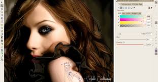 However, if you follow the instructions from the tutorial and watch the video clip carefully, you can. The Best Free Drawing Software Digital Trends