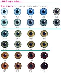 Eye Color Chart Eyes Eyecolors In 2019 Eye Color Chart
