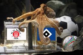 4,831 likes · 1 talking about this. Krake Paul Sagt Hsv Gegen Fc St Pauli Voraus Foto Im Hamburg Web