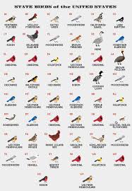State birds and flowers cross stitch patterns. United States State Birds Cross Stitch Pattern Pdf Etsy