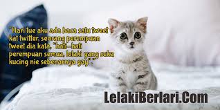 Kau beri aku harapan, kau terima semua bukankah sudah sejak awal aku katakan semua yang akul akukan denganmu, semua yang aku berikan dan aku korbankan untukmu atas dasar cinta atas dasar. Diari 187 Pencinta Kucing Diari Hidup Seorang Muslim