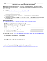 Recognize that radiant energy from the sun is transformed into chemical energy through the process of photosynthesis. Atp Photosynthesis And Cellular Respiration Webquest Key Wasfa Blog