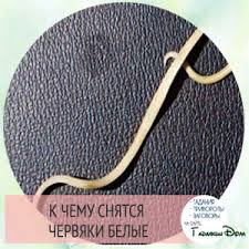 Maybe you would like to learn more about one of these? Mengapa Mimpi Cacing Lemak Putih Mengapa Cacing Putih Bermimpi Apa Yang Dikatakan Buku Mimpi Itu Mengapa Bermimpi Cacing Putih Kecil Di Lantai