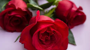 Kak Otdyhaem 8 Marta V 2019 Godu