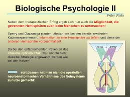 Psychological science von michael s. Biologische Psychologie Ii Ppt Video Online Herunterladen