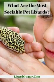 They are used for leaping long, high distances. 28 Lizard Facts Ideas Lizard Cute Reptiles Reptiles