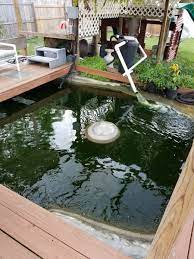 We did not find results for: Koi Pond Advice New To All This Garden Pond Forums
