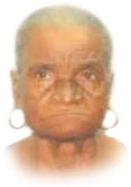 Agnes Maria Lambert Veld