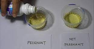 Pin On Home Pregnancy Test