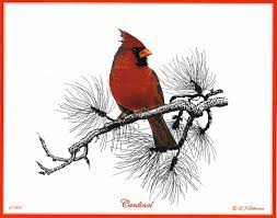 Red cardinal bird i painted red cardinal bird with watercolour. Amp Pinterest In Action Bird Drawings Drawings Bird Art