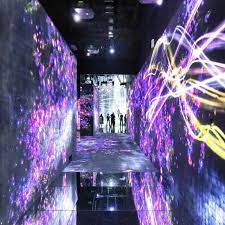team lab borderless in tokyo adf web magazine in 2021 tokyo flower field three dimensional